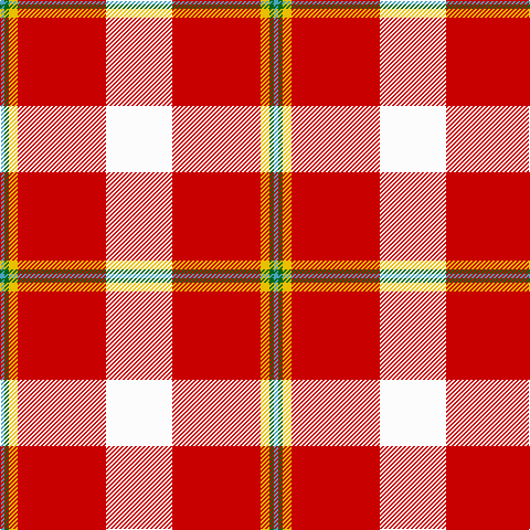 B/4 G4 Y8 R80 W/60 tartan Tartan detail