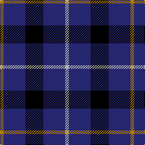 DY/6 DBa36 K30 DBa36 N/6 tartan Tartan detail
