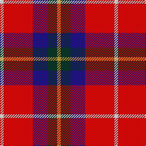 W/6 R48 DB24 DG16 Y/6 tartan Tartan detail