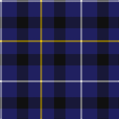 LN/8 DB60 K46 DB48 Y/8 tartan Tartan detail