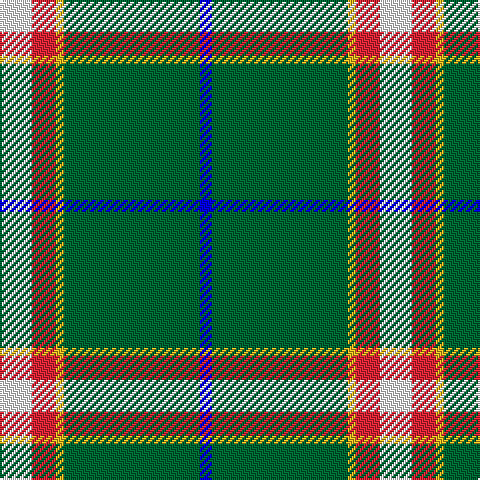 W/16 R12 Y4 G68 B/6 tartan Tartan detail