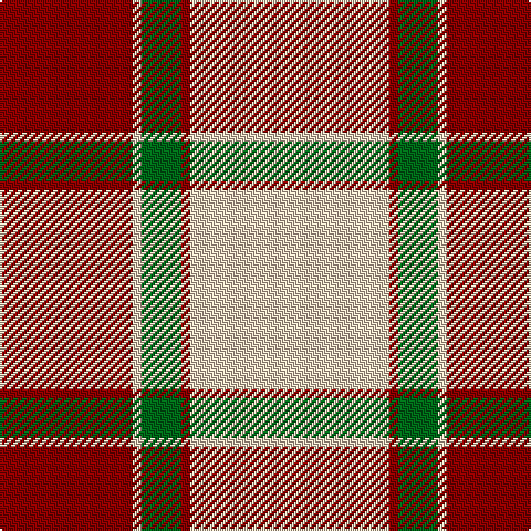 DR/60 LR4 G18 DR4 LR/90 tartan Tartan detail