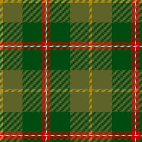 DY/10 Ga66 G66 R12 LN/4 tartan Tartan detail