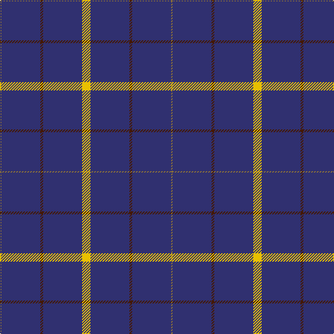 LT/2 DB56 DR4 DB56 Y/12 tartan Tartan detail