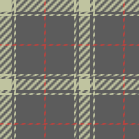 N/40 Na8 N8 Na96 R/8 tartan Tartan detail