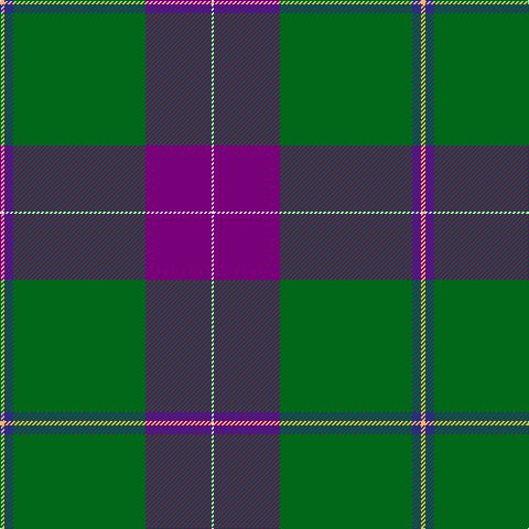 LG/4 DB8 G120 P60 LN/2 tartan Tartan detail