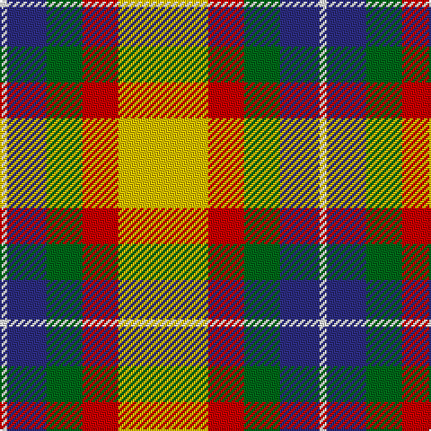 W/4 DB22 G20 R20 Y/50 tartan Tartan detail