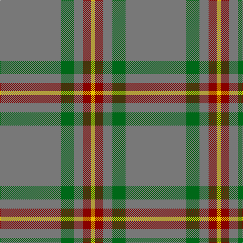 N/120 G26 N18 DR16 Y/8 tartan Tartan detail