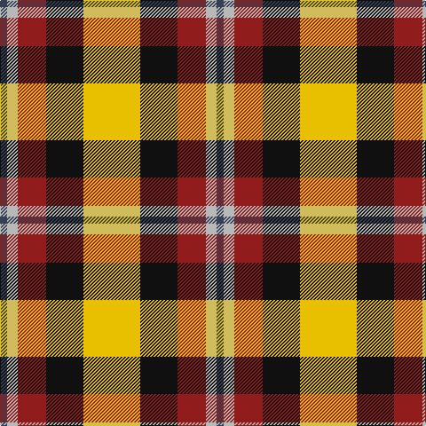 Na/8 N12 DRa32 K42 Y/64 tartan Tartan detail