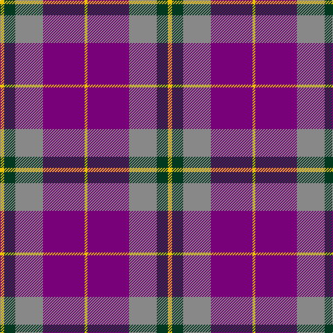 Y/6 DG16 N40 P60 Y/4 tartan Tartan detail