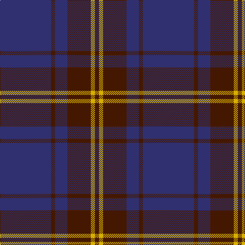 DB/100 DR8 DB24 DR46 Y8 DR/8 tartan Tartan detail