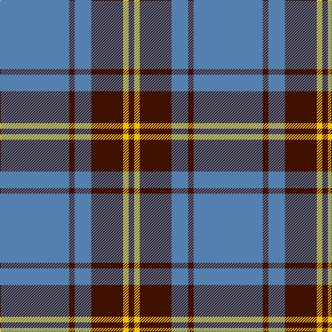 B/100 DR8 B24 DR46 Y8 DR/8 tartan Tartan detail