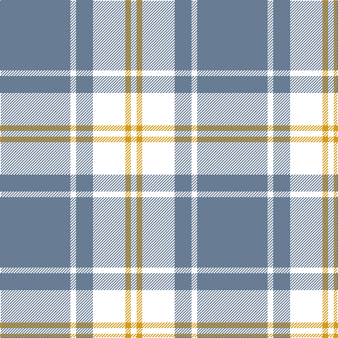 B/100 T8 B24 T46 Y8 T/8 tartan Tartan detail