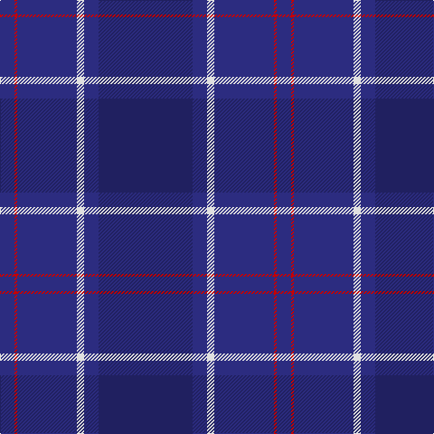 DB/16 R3 DB66 LN8 DB16 DBa/104 tartan Tartan detail