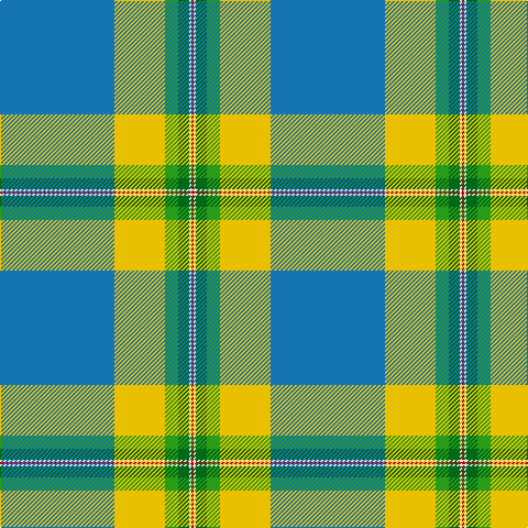 B/104 Y46 G12 Ga10 LN2 R/2 tartan Tartan detail