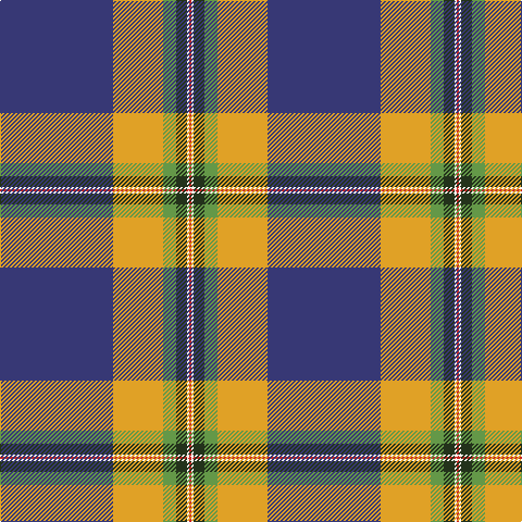 DB/104 Y46 LG12 K10 W2 R/2 tartan Tartan detail