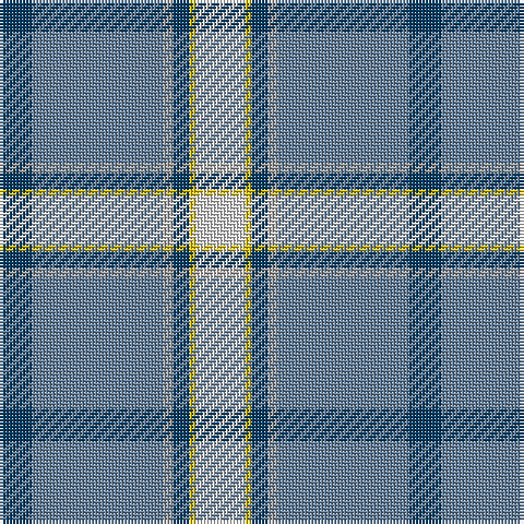 DB/10 B40 N3 DB5 Y2 LN/15 tartan Tartan detail
