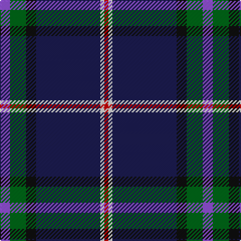 P/10 G16 K10 DB64 LN4 R/4 tartan Tartan detail
