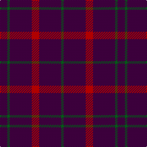 DP/12 G4 DP36 R12 DP36 G/4 tartan Tartan detail