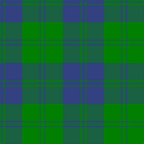 B/12 G4 B58 G58 B4 G/12 tartan Tartan detail