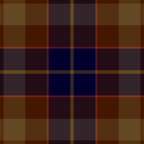 DR/12 T72 DR72 DRa6 DB72 T/12 tartan Tartan detail