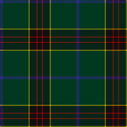 DB/12 DG96 Y4 K26 R4 K/16 tartan Tartan detail