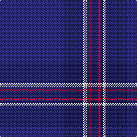 DB/110 DBa36 LN6 DBa4 R4 DBa/12 tartan Tartan detail