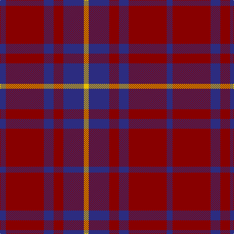DB/12 DR78 DB20 DR20 DB42 Y/10 tartan Tartan detail
