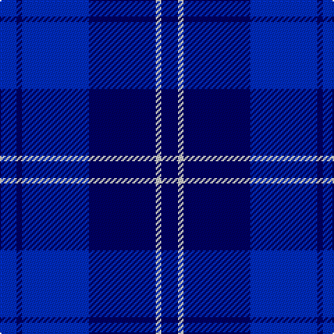 B/12 DB4 B48 DB48 N4 DB/12 tartan Tartan detail