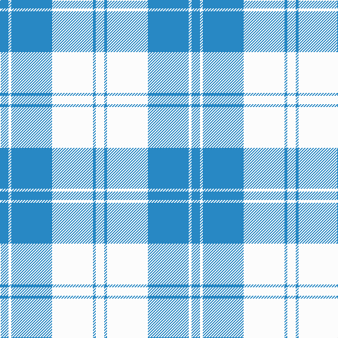 B/12 W4 B58 W58 B4 W/12 tartan Tartan detail