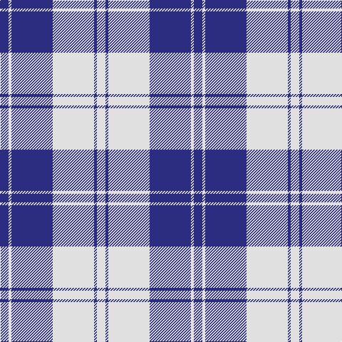 DB/12 LN4 DB58 LN58 DB4 LN/12 tartan Tartan detail