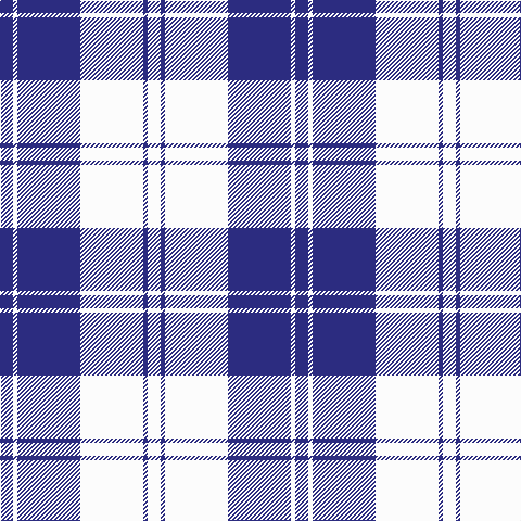DB/12 W4 DB58 W58 DB4 W/12 tartan Tartan detail