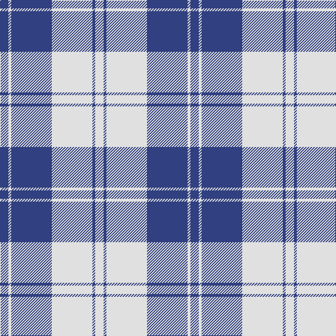 B/12 LN4 B58 LN58 B4 LN/12 tartan Tartan detail