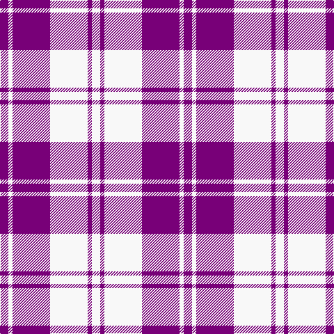 P/12 W6 P54 W54 P6 W/12 tartan Tartan detail