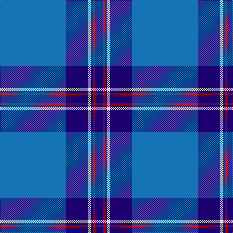 B/136 DB45 LN7 DB4 R4 DB/16 tartan Tartan detail