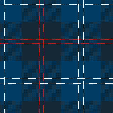 DB/16 W4 DB72 DN72 R4 DN/16 tartan Tartan detail
