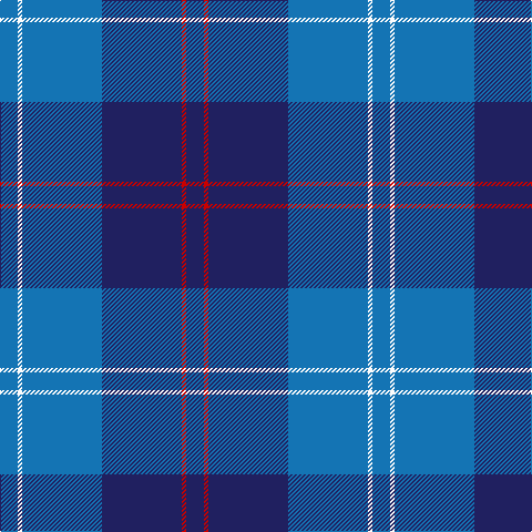 B/16 W4 B72 DB72 R4 DB/16 tartan Tartan detail