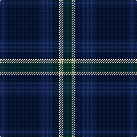DB/10 DBa60 DB22 DBa12 LR6 DG/16 tartan Tartan detail