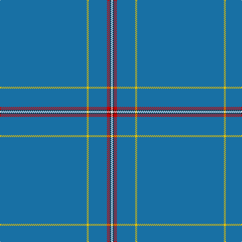 B/172 Y4 B36 R6 K2 LN/4 tartan Tartan detail