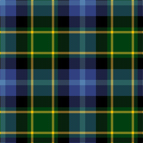 Ba/18 B36 K38 DG12 Y8 DG/62 tartan Tartan detail