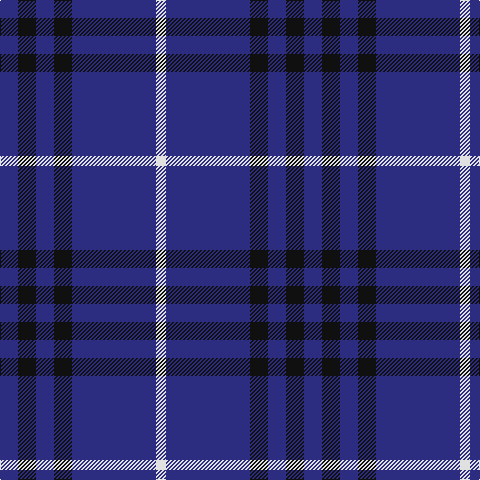 DB/18 K18 DB18 K18 DB84 LN/10 tartan Tartan detail
