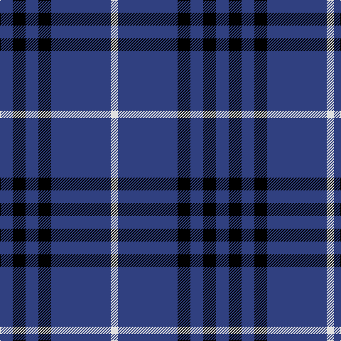 B/18 K18 B18 K18 B84 LN/10 tartan Tartan detail