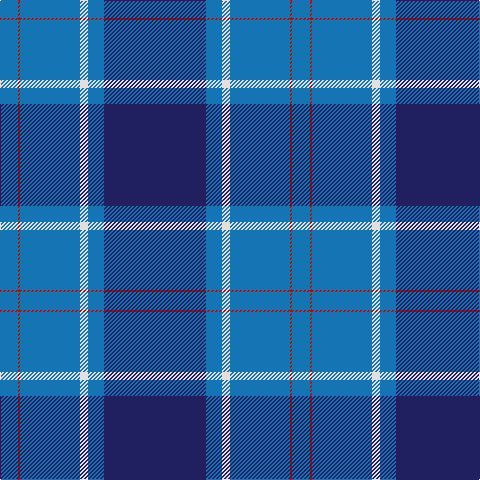 B/18 R2 B60 LN8 B16 DB/102 tartan Tartan detail