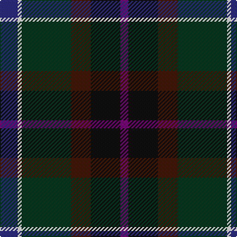 DB/18 W4 DG50 DR20 K30 P/8 tartan Tartan detail