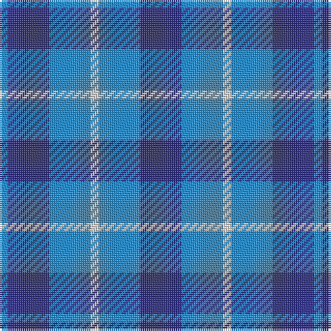 B/4 DB20 B20 LN4 B20 DB/20 tartan Tartan detail