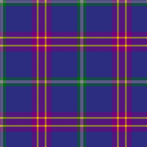 N/10 G10 DB84 P16 Y6 P/20 tartan Tartan detail