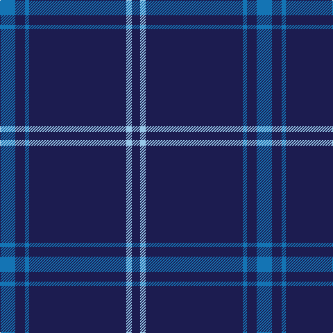 B/22 DB14 B6 DB140 LB8 DB/12 tartan Tartan detail