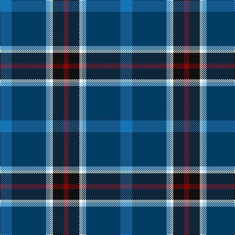 B/24 DB70 LB8 W6 K22 DR/10 tartan Tartan detail