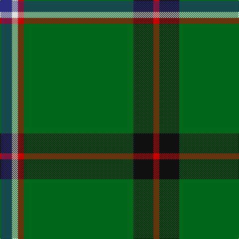 DB/24 LN12 R12 G220 K40 R/12 tartan Tartan detail