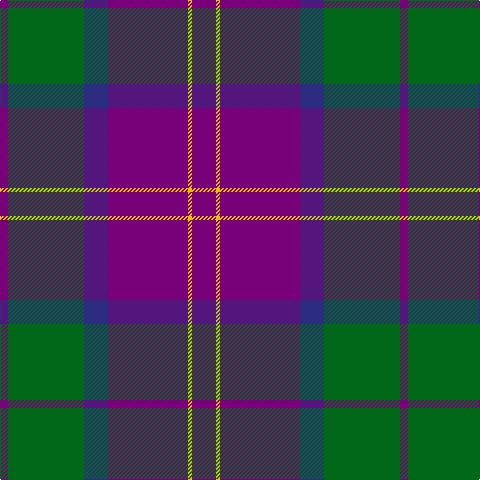 P/8 G76 DB24 P80 Y4 P/24 tartan Tartan detail